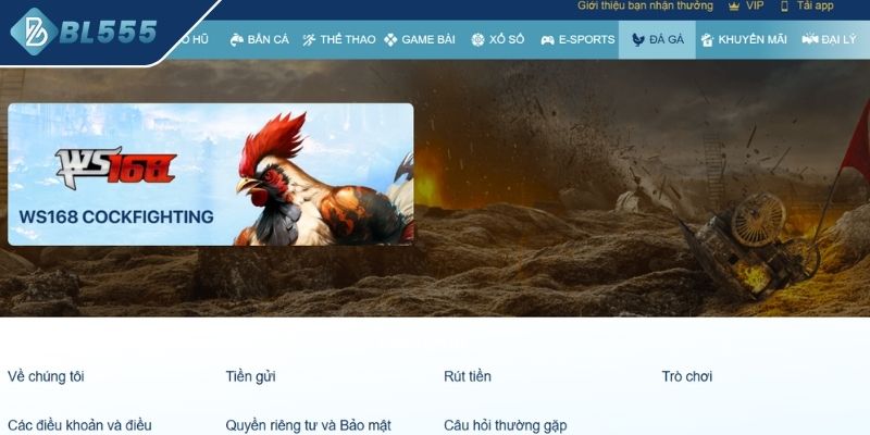 Giới thiệu sảnh Đá Gà BL555